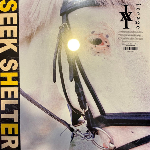 Seek Shelter - Iceage