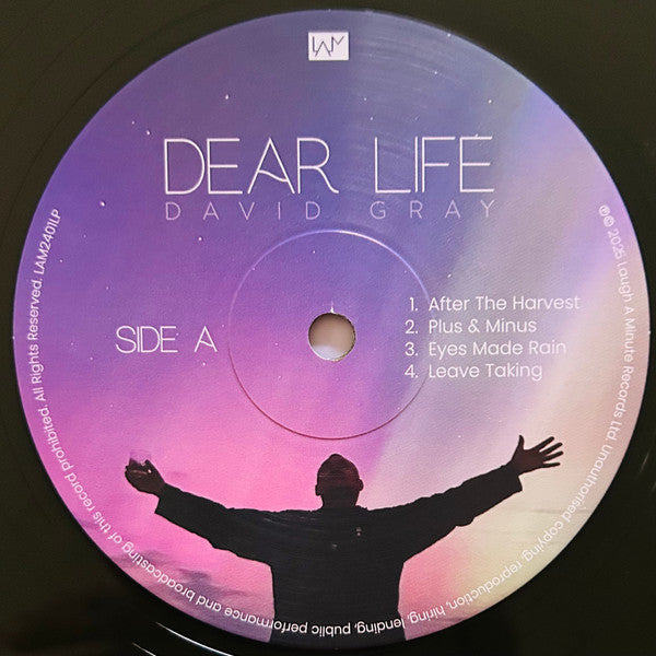 Dear Life - Gray, David
