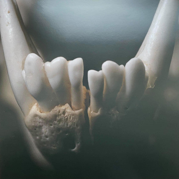 Primordial Arcana - Wolves In The Throne Room