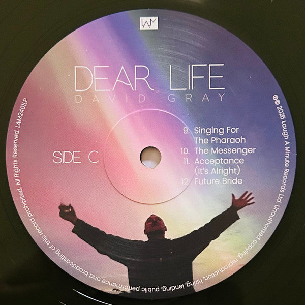 Dear Life - Gray, David