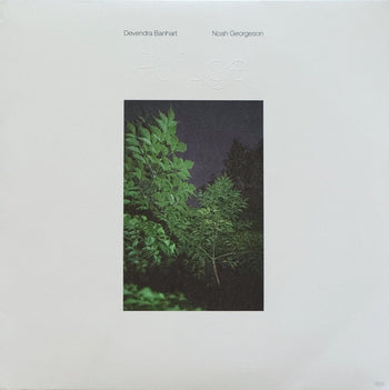 Refuge - Banhart, Devendra & Noah Georgeson