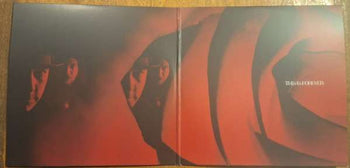This Is Forever - She Wants Revenge [LP]