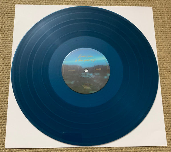 In These Silent Days (Deluxe Edition) In The Canyo - Carlile, Brandi