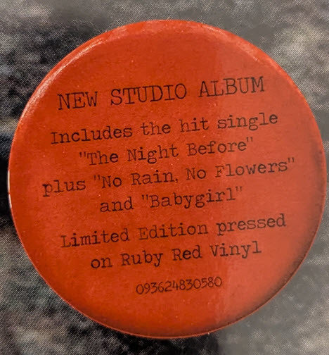 No Rain No Flowers - Black Keys