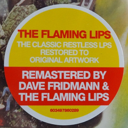 Oh My Gawd!!!... The Flaming Lips - Flaming Lips, The
