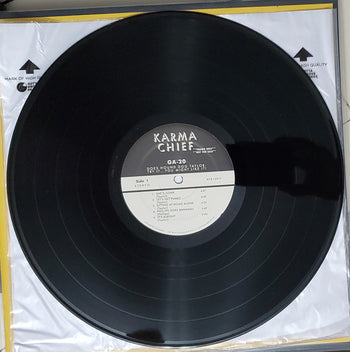 GA-20 Does Hound Dog Taylor: Try It...You Might Li - GA-20