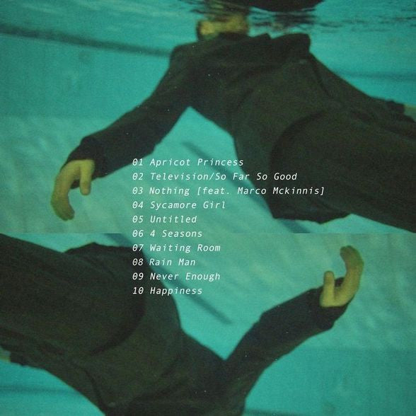 Apricot Princess - Rex Orange County