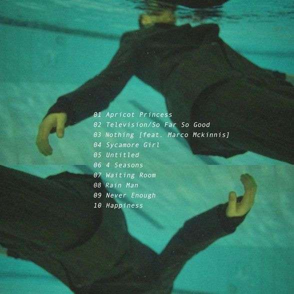 Apricot Princess - Rex Orange County