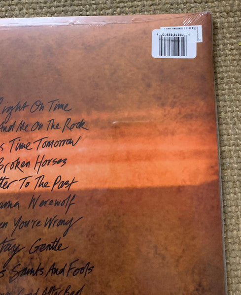 In These Silent Days (Deluxe Edition) In The Canyo - Carlile, Brandi