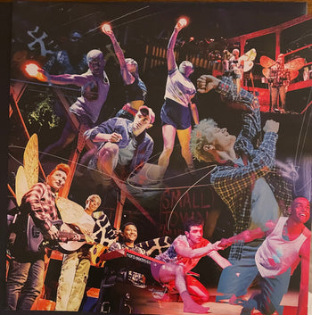 Illinoise: A New Musical (Original Cast Recording) - Various