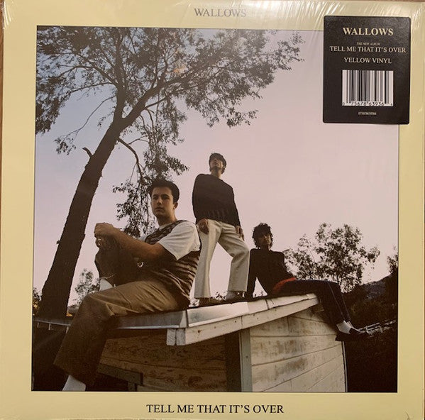 Tell Me That It's Over - Wallows