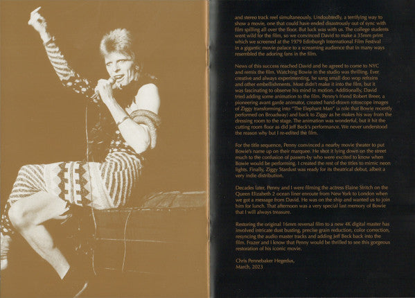 Ziggy Stardust And The Spiders From Mars: The Moti - Bowie, David
