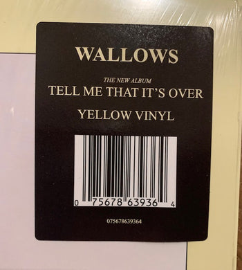 Tell Me That It's Over - Wallows