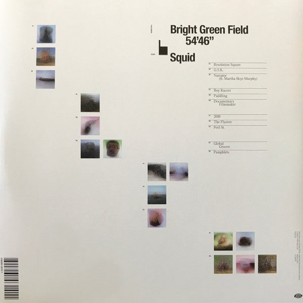 Bright Green Field - Squid
