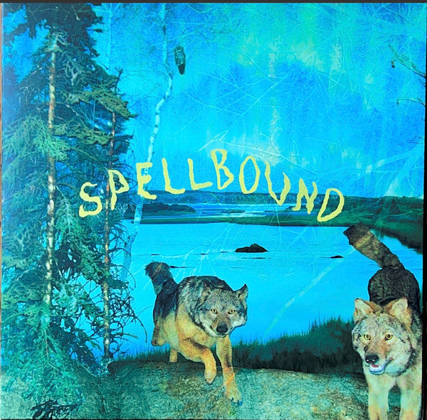 Spellbound - Boyscott