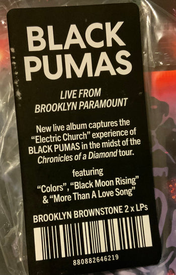 Live From Brooklyn Paramount - Black Pumas