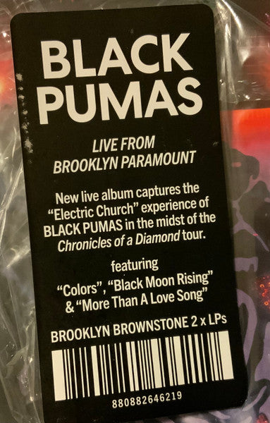 Live From Brooklyn Paramount - Black Pumas