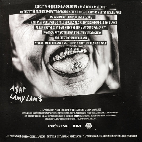 At.Long.Last.A$ap - A$ap Rocky