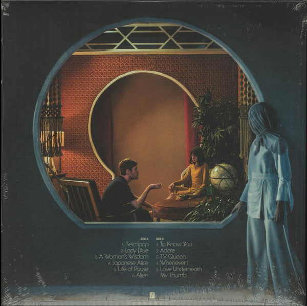 Life Of Pause - Wild Nothing