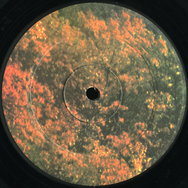 Innerspeaker - Tame Impala