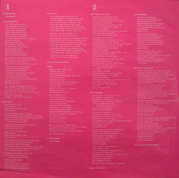 Pink World - Planet P Project