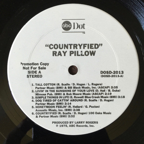 Countryfied - Pillow, Ray