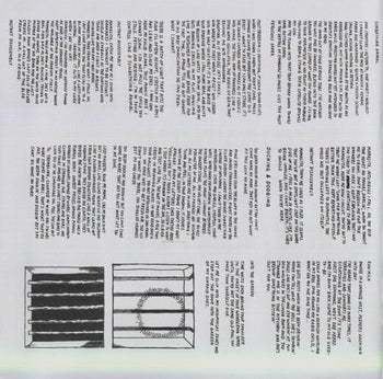Sunbathing Animal - Parquet Courts