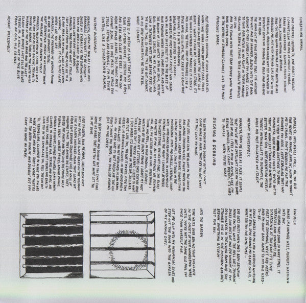 Sunbathing Animal - Parquet Courts