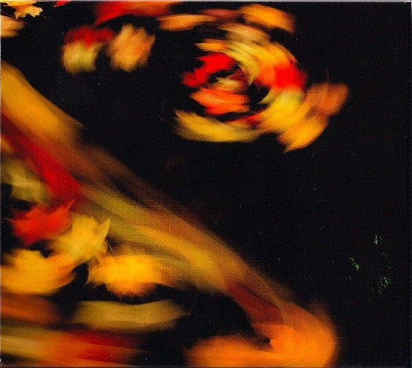 Merriweather Post Pavilion - Animal Collective