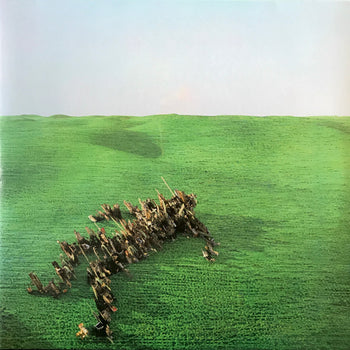 Bright Green Field - Squid