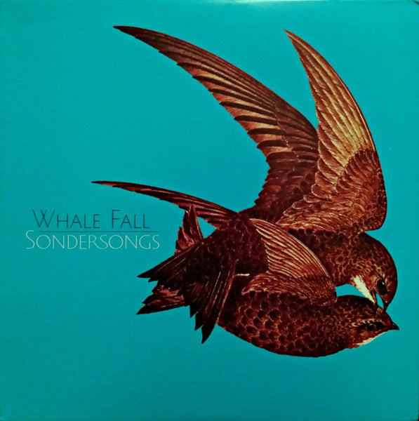 Sondersongs - Whale Fall