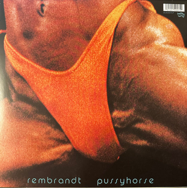 Rembrandt Pussyhorse - Butthole Surfers