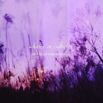 Death In The Evening - Whales In Cubicles