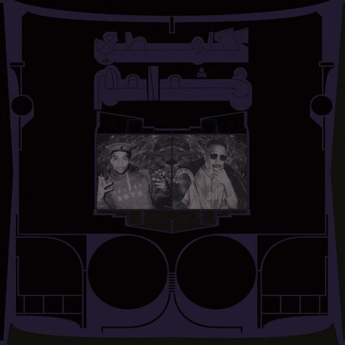 Exotic Birds of Prey - Shabazz Palaces