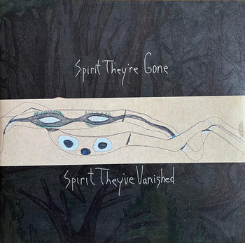 Spirit They'Re Gone, Spirit They'Ve Vanished - Animal Collective