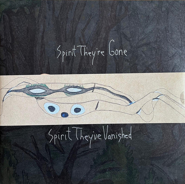 Spirit They'Re Gone, Spirit They'Ve Vanished - Animal Collective