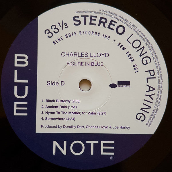 Figure In Blue - Lloyd, Charles