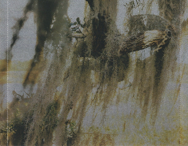 Spanish Moss - Swindell, Cole