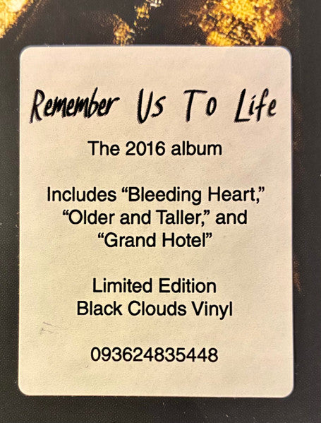 Remember Us To Life - Spektor, Regina