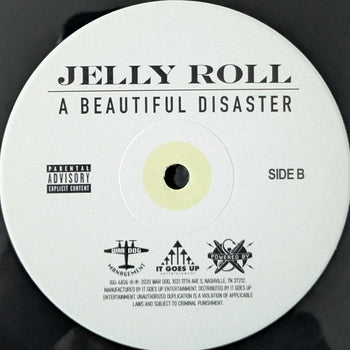 A Beautiful Disaster - Jelly Roll