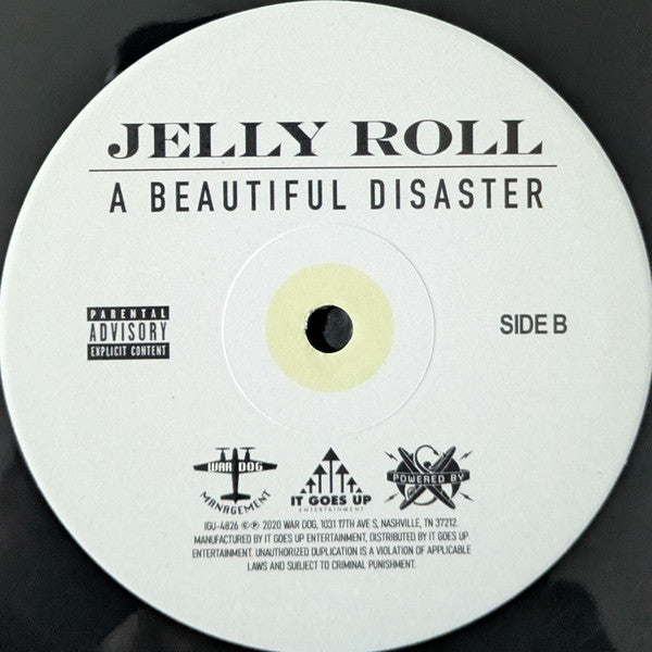 A Beautiful Disaster - Jelly Roll