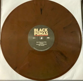Live From Brooklyn Paramount - Black Pumas