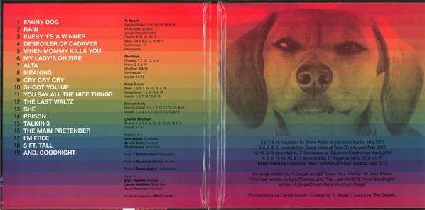 Freedom's Goblin - Segall, Ty
