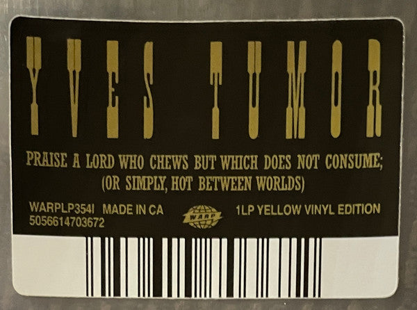 Praise A Lord Who Chews But Which Does Not Consume - Yves Tumor