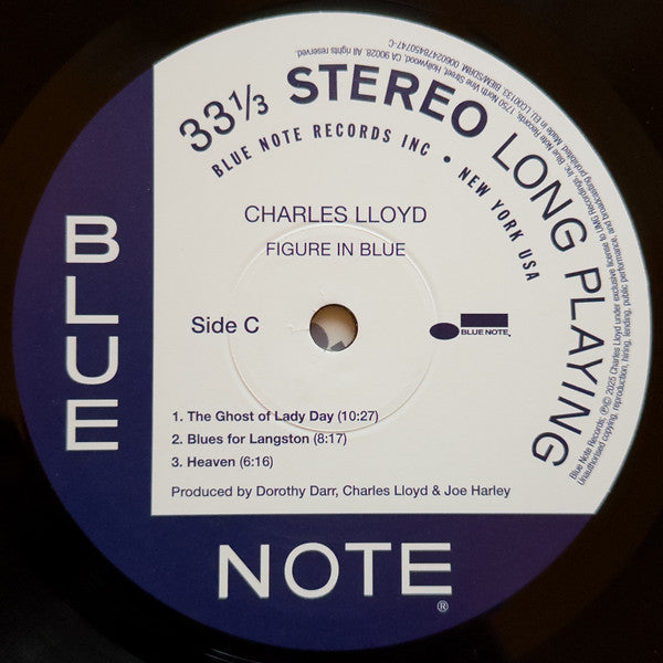 Figure In Blue - Lloyd, Charles