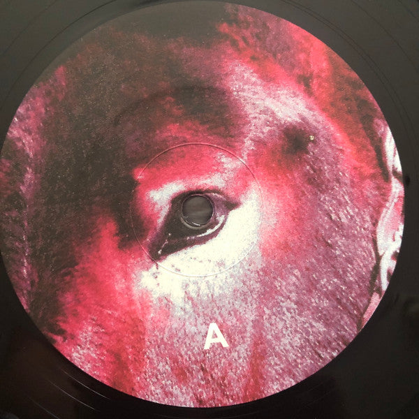 Ultimate Success Today - Protomartyr