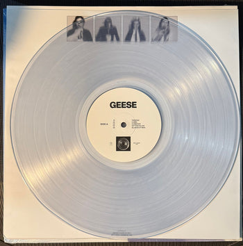 Getting Killed - Geese