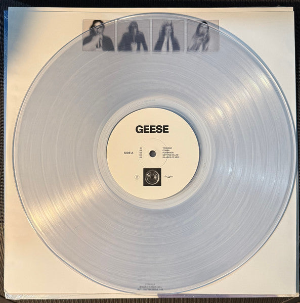 Getting Killed - Geese