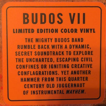VII - Budos Band