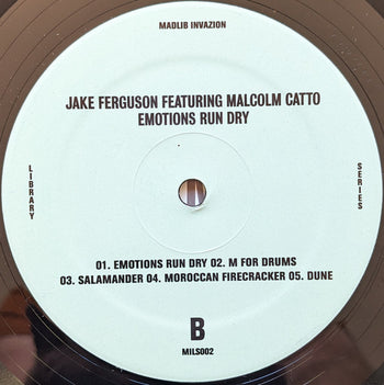 Emotions Run Dry - Ferguson, Jake